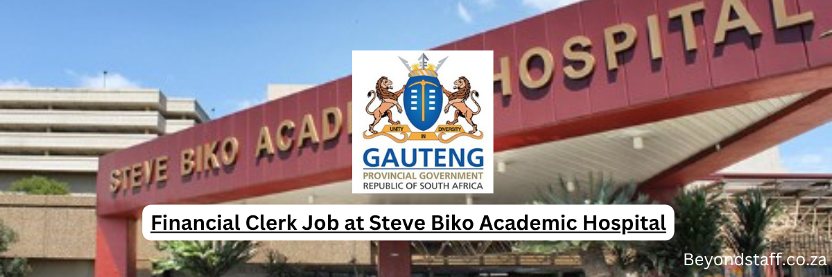 Financial Clerk Job at Steve Biko Academic Hospital